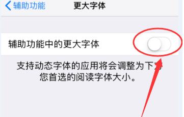 iPhone XR 如何放大图标和文字？