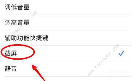 苹果手机双击背面截图怎么设置