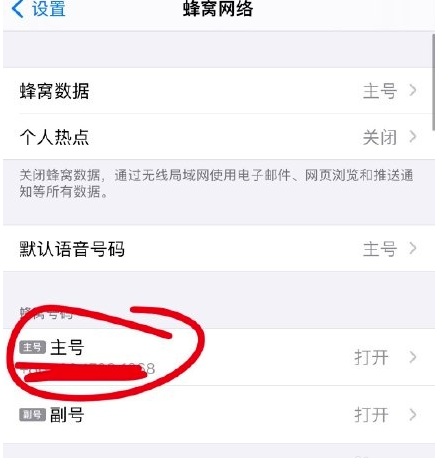 苹果12怎么开启volte功能？苹果12开启volte功能教程截图