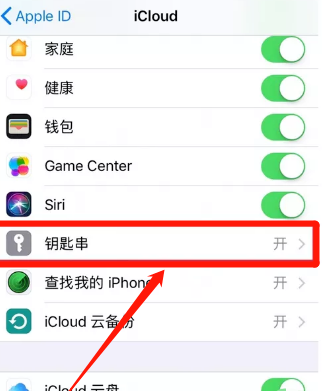 iPhone11怎么设置iCloud钥匙串 iPhone11设置iCloud钥匙串方法截图