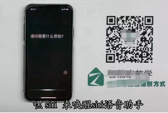 iPhone X唤醒siri的具体方法截图