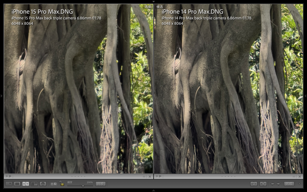 放大200%细节，左：iPhone 15 Pro Max；右：iPhone 14 Pro Max