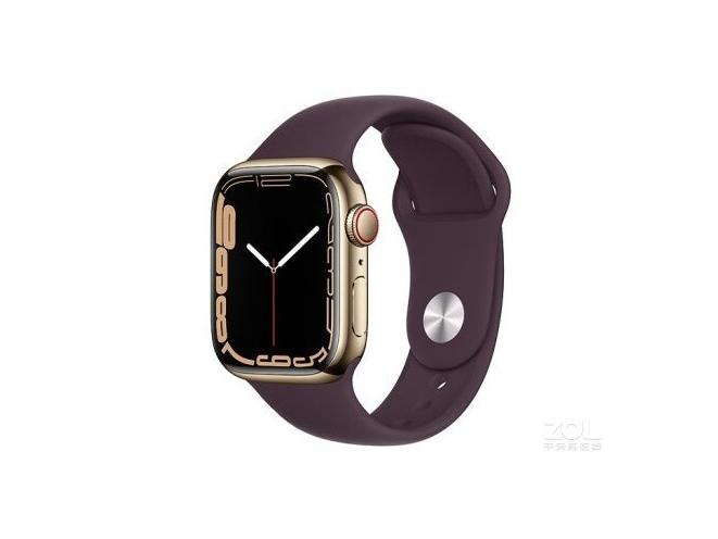 Apple Watch Series 7 45mm（蜂窝款/不锈钢表壳/运动表带）