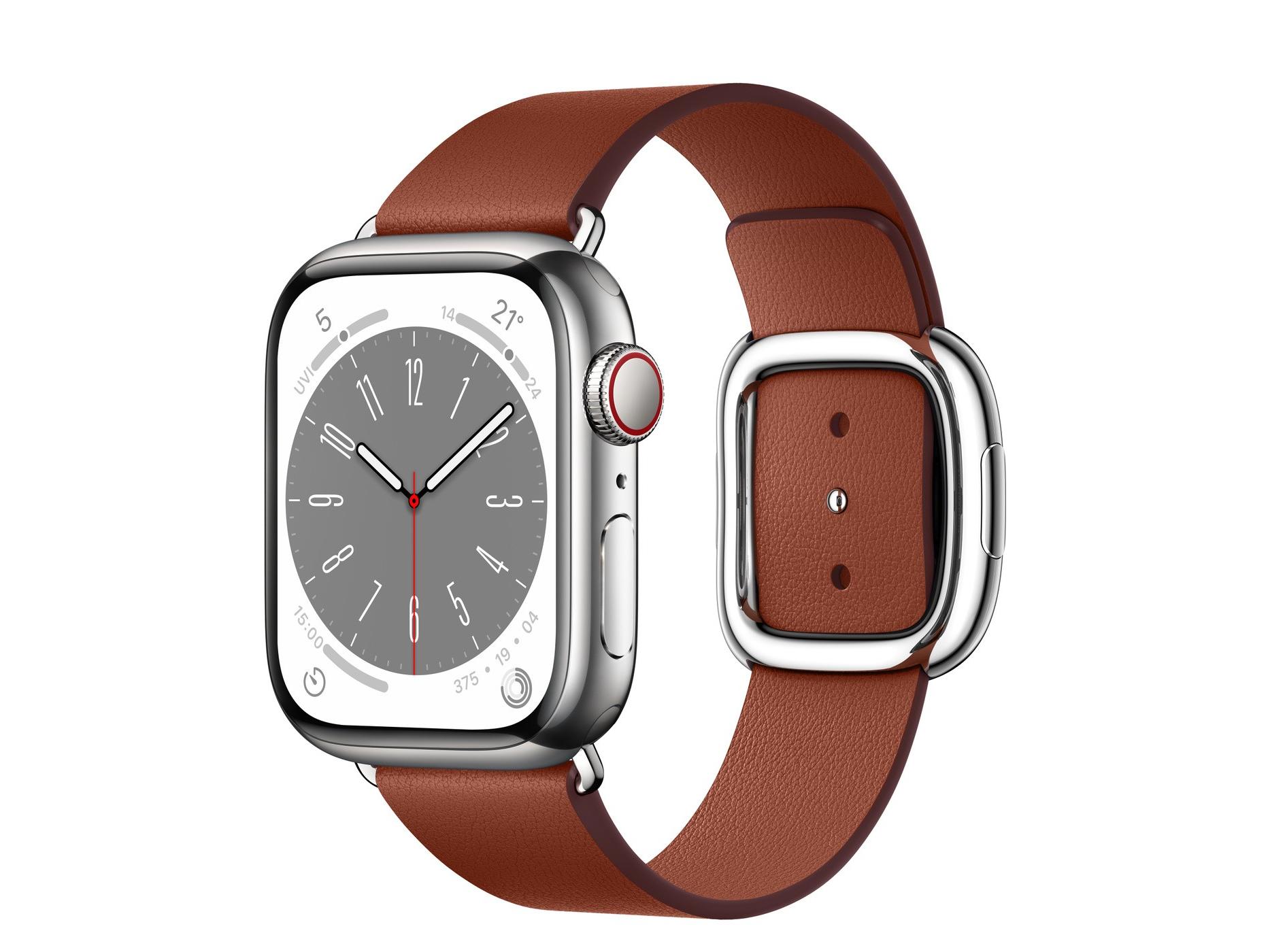 Apple（苹果）Watch Series 8银色不锈钢表壳现代风扣式表带 赭红色 大号+蜂窝网络 41mm