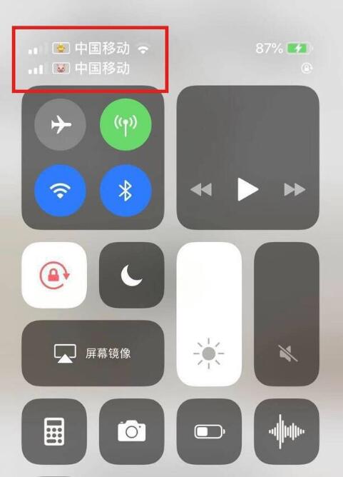 为 iPhone 12 双卡设置标签：支持自定义标签和 emoji 表情