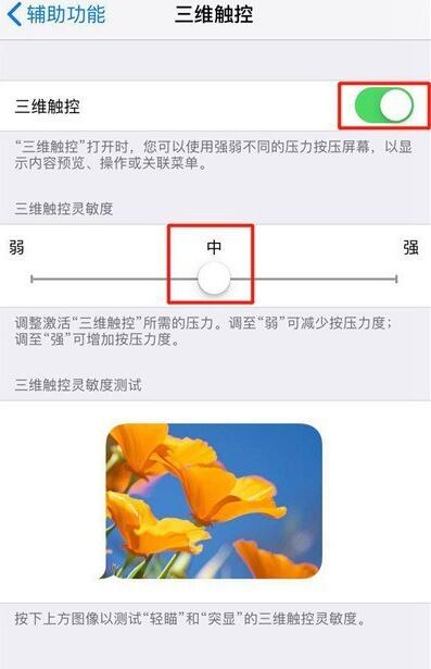 如何在iPhone XS系列苹果手机中开启3D Touch功能？