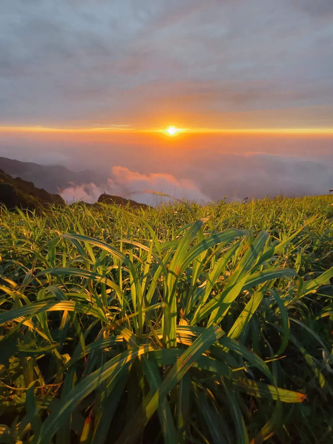 苹果相机夜间模式怎样打开