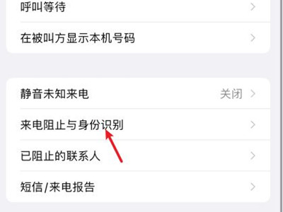 苹果13怎么开启骚扰电话拦截？苹果13开启骚扰电话拦截教程截图