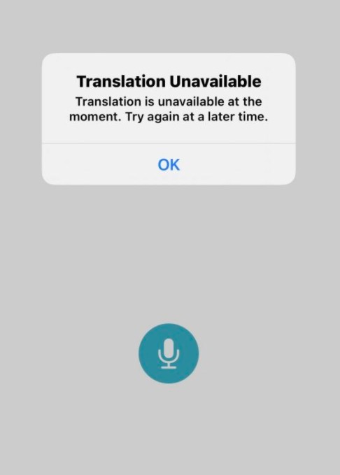ios14为什么翻译用不了了?ios14翻译软件无法用解析截图