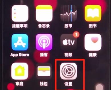 iphone11中设置siri性别的详细方法截图