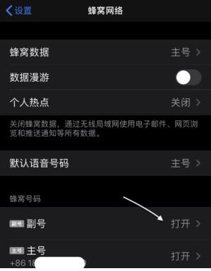 iPhone 11设置双卡双待功能的详细讲解截图