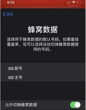 iPhone 11设置双卡双待功能的详细讲解截图