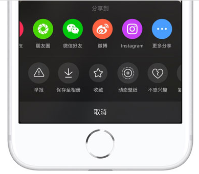 iPhone中下载无水印抖音视频的方法截图