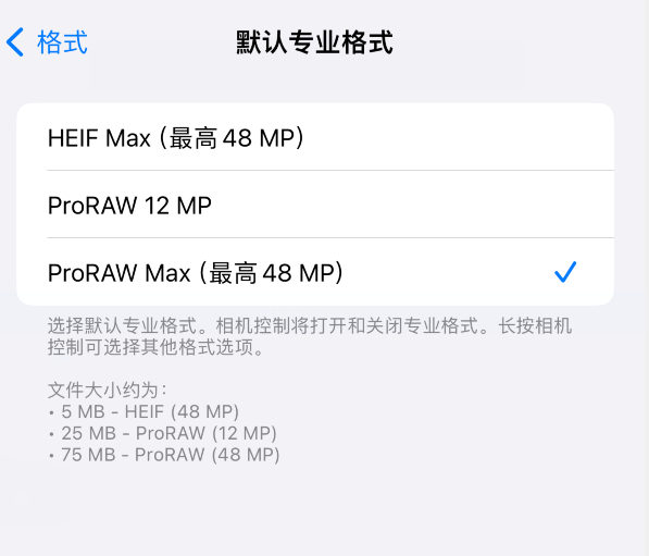 如何在 iPhone 15 Pro 系列机型中设置 Apple ProRAW 格式？