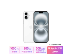 iPhone 16 Plus真机上手图解 极光色外观亮眼